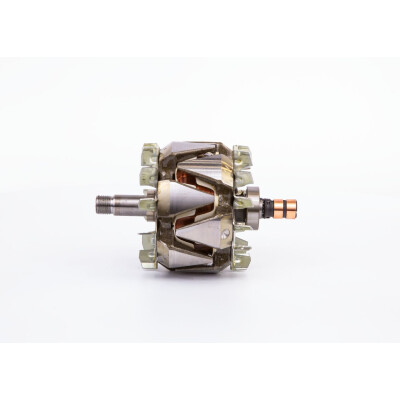 Rotor, alternador