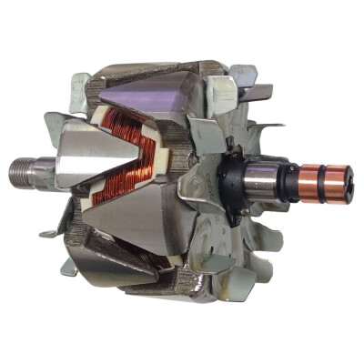 Rotor, alternador