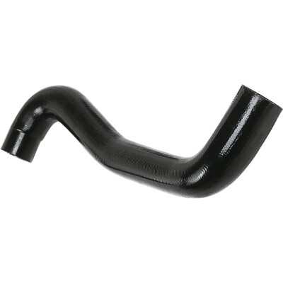 Tubo flexível do radiador