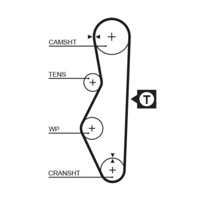Correia dentada