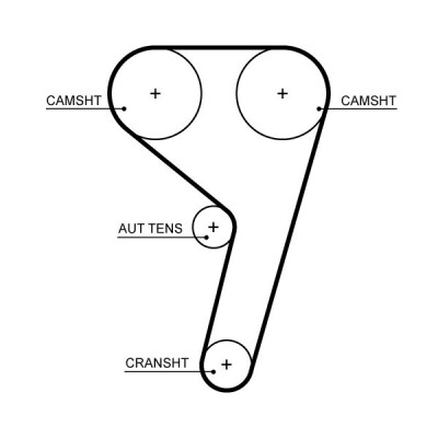 Correia dentada