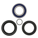 Kit de rolamento de roda All Balls 251005