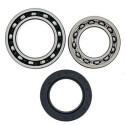 Kit de rolamento de roda All Balls 251010