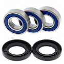 Kit de rolamento de roda All Balls 251021
