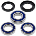 Kit de rolamento de roda All Balls 251039