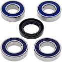 Kit de rolamento de roda All Balls 251051
