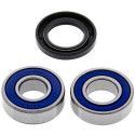 Kit de rolamento de roda All Balls 251059