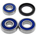 Kit de rolamento de roda All Balls 251087