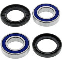 Kit de rolamento de roda All Balls 251109