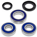 Kit de rolamento de roda All Balls 251110