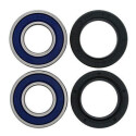Kit de rolamento de roda All Balls 251112