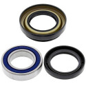 Kit de rolamento de roda All Balls 251123
