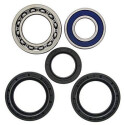 Kit de rolamento de roda All Balls 251139
