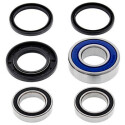 Kit de rolamento de roda All Balls 251192