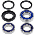 Kit de rolamento de roda All Balls 251193