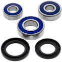 Kit de rolamento de roda All Balls 251234