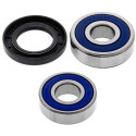 Kit de rolamento de roda All Balls 251244