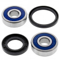 Kit de rolamento de roda All Balls 251334