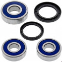 Kit de rolamento de roda All Balls 251360