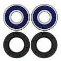 Kit de rolamento de roda All Balls 251382