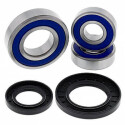 Kit de rolamento de roda All Balls 251393