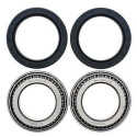Kit de rolamento de roda All Balls 251432