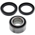 Kit de rolamento de roda All Balls 251434