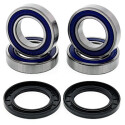 Kit de rolamento de roda All Balls 251436