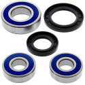 Kit de rolamento de roda All Balls 251449