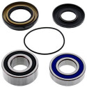 Kit de rolamento de roda All Balls 251478