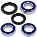 Kit de rolamento de roda All Balls 251493