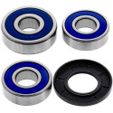 Kit de rolamento de roda All Balls 251494