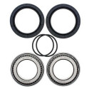 Kit de rolamento de roda All Balls 251507