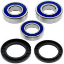 Kit de rolamento de roda All Balls 251547