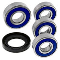 Kit de rolamento de roda All Balls 251598