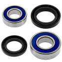 Kit de rolamento de roda All Balls 251613