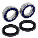 Kit de rolamento de roda All Balls 251660