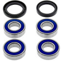 Kit de rolamento de roda All Balls 251672