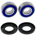Kit de rolamento de roda All Balls 251678