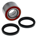 Kit de rolamento de roda All Balls 251699