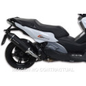 Silenciador Malossi Maxi Wild Lion BMW C 650