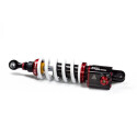 Malossi RS24 10 monoamortecedor BMW C600 Sport