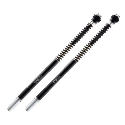 Kit de garfo Matrix F25R Morini F25M200R
