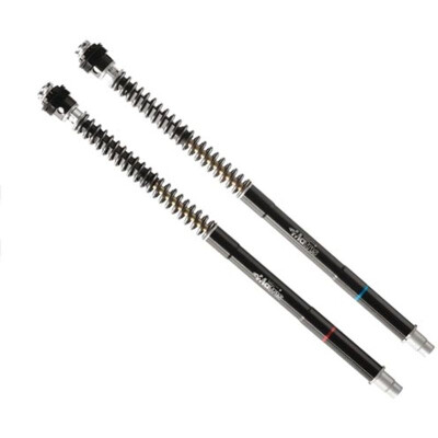 Kit de garfo Matrix F25SA Yamaha F25Y141SA