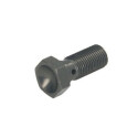 Parafuso de mangueira curta 10x125 TRW MCH921T