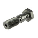 Parafuso Banjo Duplo M10x1.25 TRW MCH951T