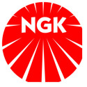 vela de ignição NKG