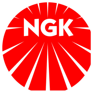 vela de ignição NKG