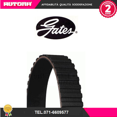 Correia dentada PowerGrip®
