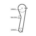 Correia dentada PowerGrip®